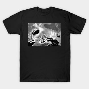 Liquid Mercury Water T-Shirt